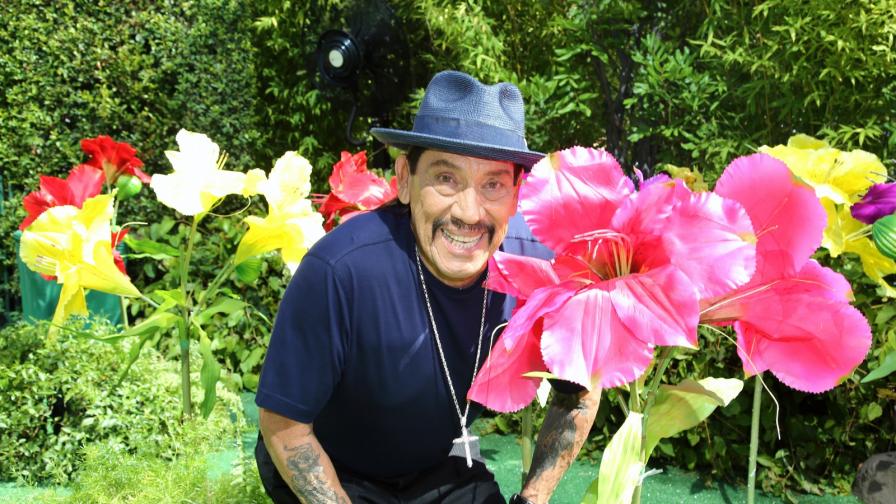  Холивудска звезда оказа помощ за спасяването на бебе от аварирала кола 