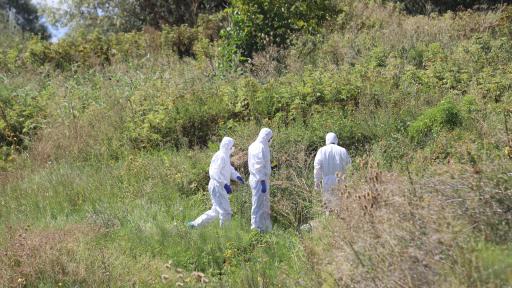  <p>Случаят Негован - брутално и зверско, какъв е мотивът</p> 