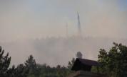  Нов пожар пламна над село Реброво 