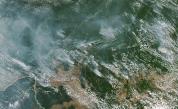 Бразилските тропически гори горят с рекордна скорост 