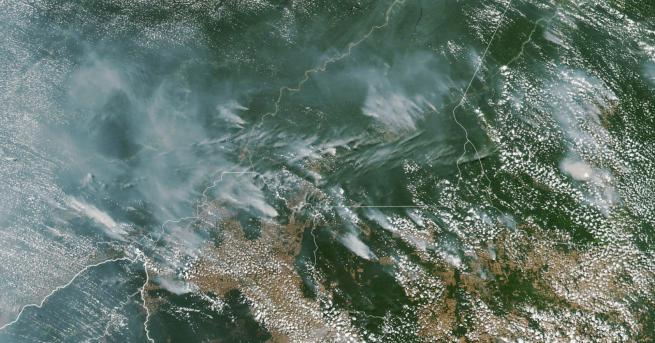 Свят Бразилските тропически гори горят с рекордна скорост Националният институт