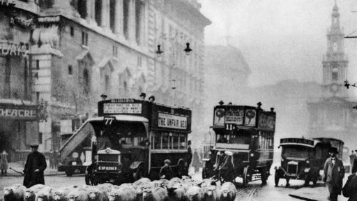  <p>Лондон: <strong>Овце вместо косачки</strong> в парковете&nbsp;</p> 