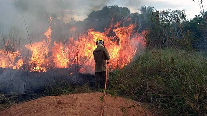 Никога преди в амазонската джунгла не са горели толкова много пожари. Броят им в момента е над 2500. Едва днес правителството на Бразилия заповяда на армията да се включи в гасенето на огъня.