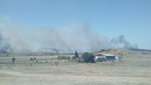  <p>Голям пожар: гори борова гора край Нова Загора</p> 