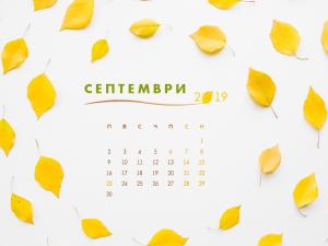 Резултат с изображение за без календар
