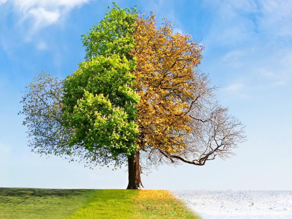 Вашият цветови сезон определя кои нюанси ви отиват най много Можете