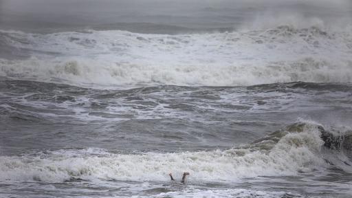  Ураганът Дориан 