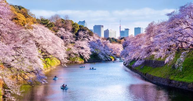 Любопитно Кои са най безопасните градове в света Японската столица Токио
