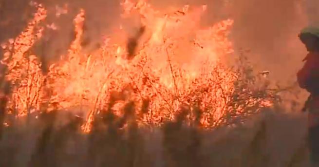 България Цяла нощ екипи следиха пожара край летище София Той