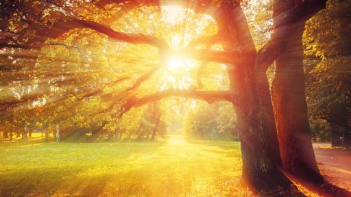  <p>Идват летни дни, по кое време ще вали</p> 