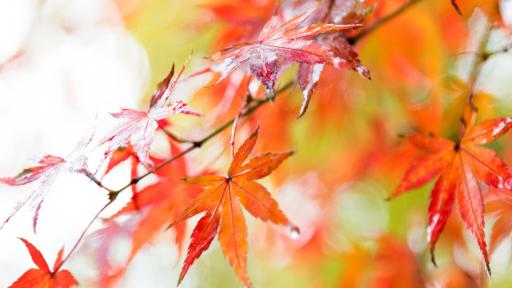  <p>Продължава да вали, препоръки към шофьорите</p> 