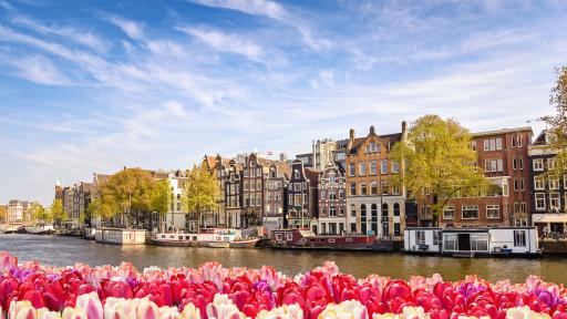  Нидерландия 