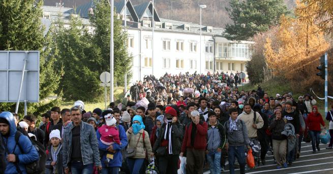 Свят Германия Нов прилив на мигранти по голям от този през
