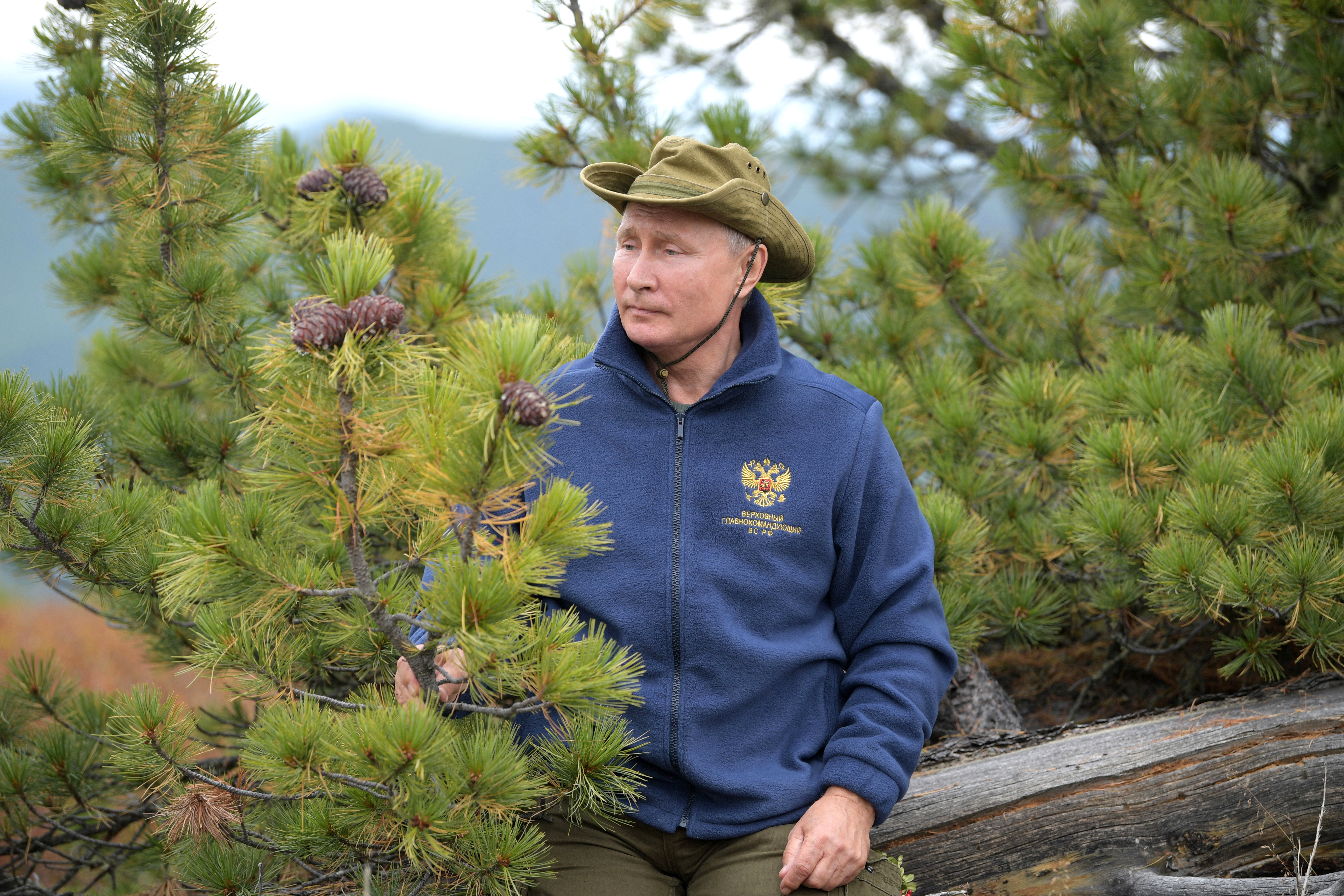 Путин и военният министър Сергей Шойгу се разхождат сред върховете на труднодостъпен район в сибирската тайга.