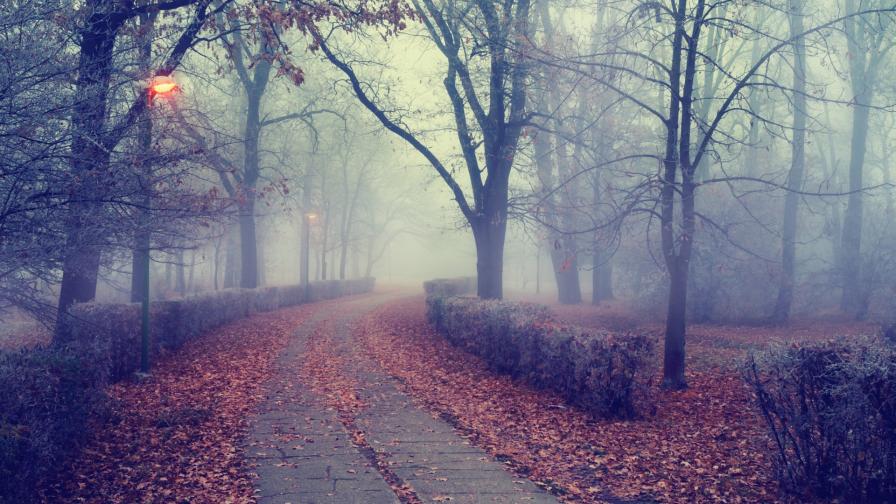  Студено и през днешния ден, сняг в планините 