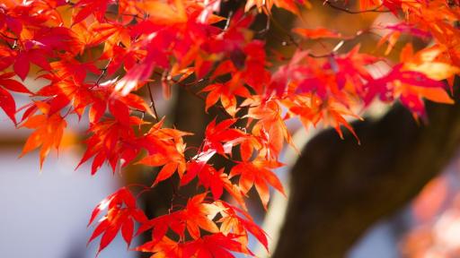  Слънце и до 25°, вижте по кое време 