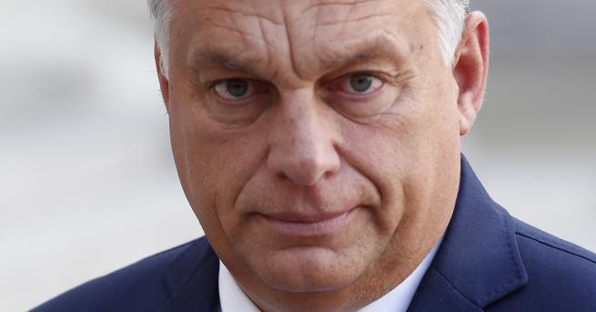 Свят Секс афера и корупционен скандал в системата Орбан Местните избори
