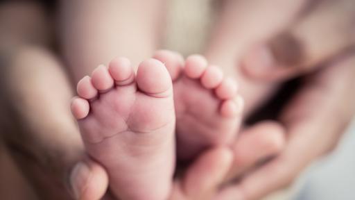  По време на карантината: 390 бебета са проплакали в 