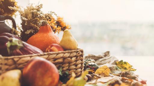  Топла и слънчева сряда, каква ще е седмицата 