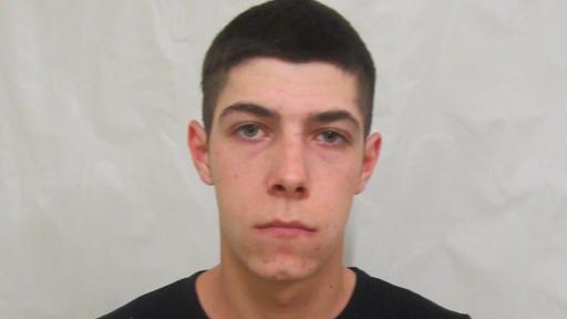  Избягалият пандизчия Мартин Шахънски 