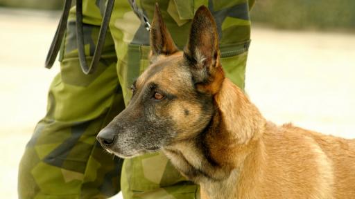  <p>Вижте&nbsp;<span style= 