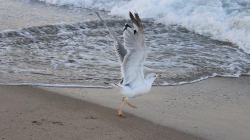  <p>"Не е измислица<strong> морето и щастието</strong> съществува"</p> 