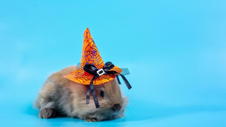  Дневен хороскоп за неделя, 31 октомври 