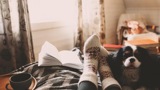  <p><strong>Книгите,</strong> които да прочетем през ноември. <strong>Стивън Кинг, Аушвиц, Раковски</strong></p> 