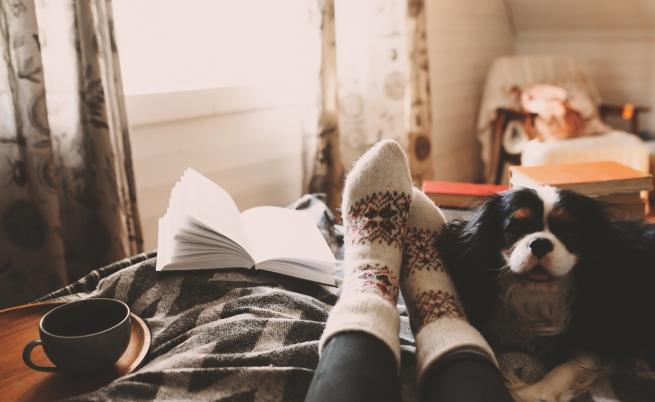  Книгите, които да прочетем през ноември. Стивън Кинг, Аушвиц, Раковски 