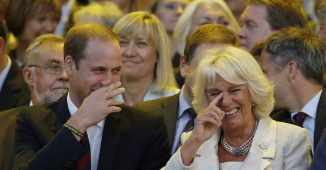 Любопитно Едни от най забавните моменти на кралското семейство Те често