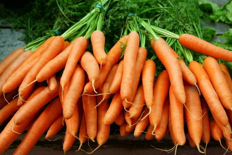 <p><strong>Моркови</strong><br />
<br />
Ползите от морковите върху здравето ни са огромни. От всички зеленчуци морковът има най-високо съдържание на провитамин А (бета-каротин). Това вещество има доказани свойства като&nbsp;<strong>антиоксидант</strong>&nbsp;и ни предпазва от злокачествени заболявания. Витаминът действа профилактично при инфекциозните заболявания на бронхитите, гърлото и гласните връзки. Морковите подобряват още храносмилането и спомагат отслабването, като в същото време създават усещане за ситост.</p>
