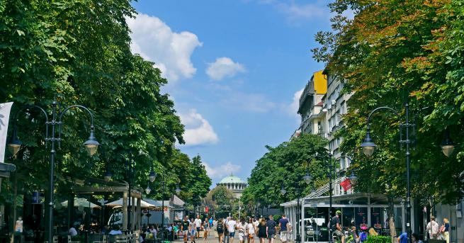 Любопитно Витошка е сред най скъпите улици в Европа С месечен