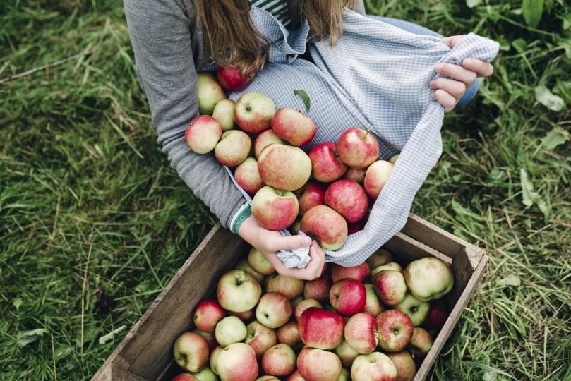 <p>4. Ябълки - Съдържат голямо количество пектин, витамини, минерали и антиоксиданти. Борят се със запека, диарията, вирусните и бактериалните инфекции, подобряват здравето на сърцето</p>
