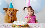  <p>Нова формула пресмята <strong>възрастта на кучетата в човешки години</strong></p> 