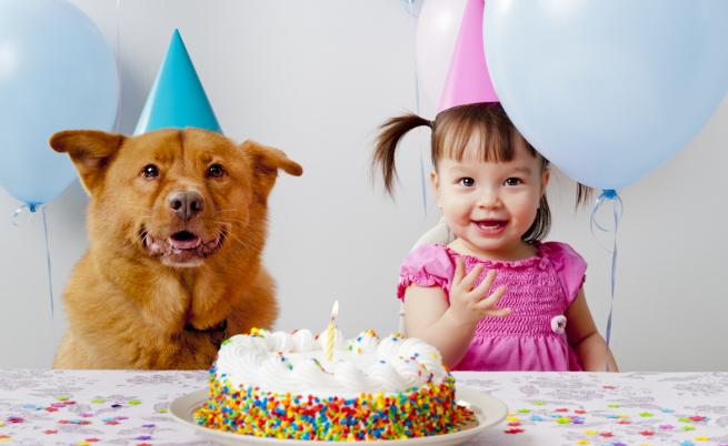  Нова формула пресмята възрастта на кучетата в човешки години 