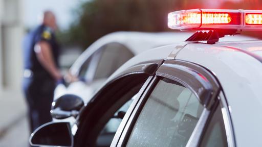  Две деца са арестувани за ликвидиране в хасковско село 