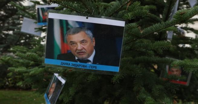 България Ликът на Валери Симеонов грейна на елха СНИМКИ Акцията
