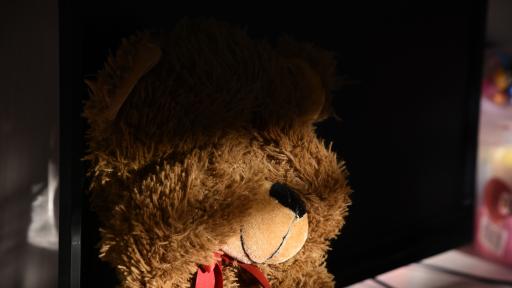  Полиция и специалисти се сплотиха, с цел да разкрият този случай 