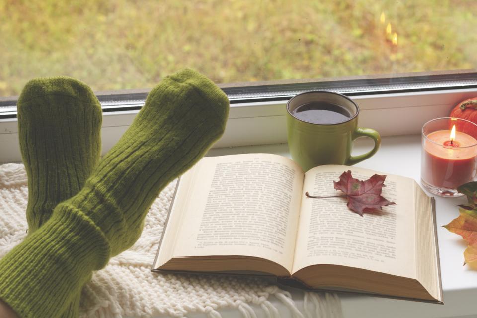  дневен ноември 