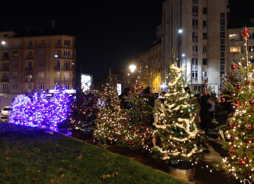 <p>В парка пред НДК, светлините на елхата бяха запалени в 18:00 ч., а след това небето над София бе озарено от празнична заря.</p>