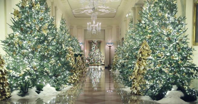 Любопитно Блясък елхи патриотизъм Коледната украса на Мелания Тръмп Първата