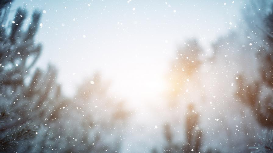  Сняг и мраз, каква е ситуацията в страната 