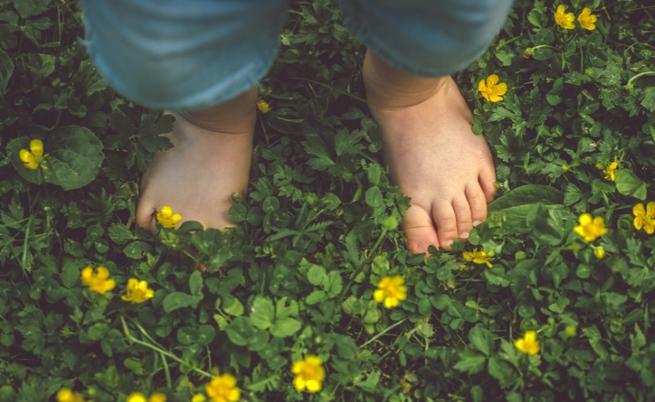  Вдъхновените 