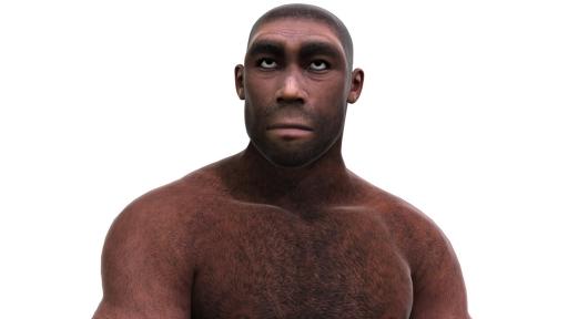  Хомо еректус - Изправен човек 