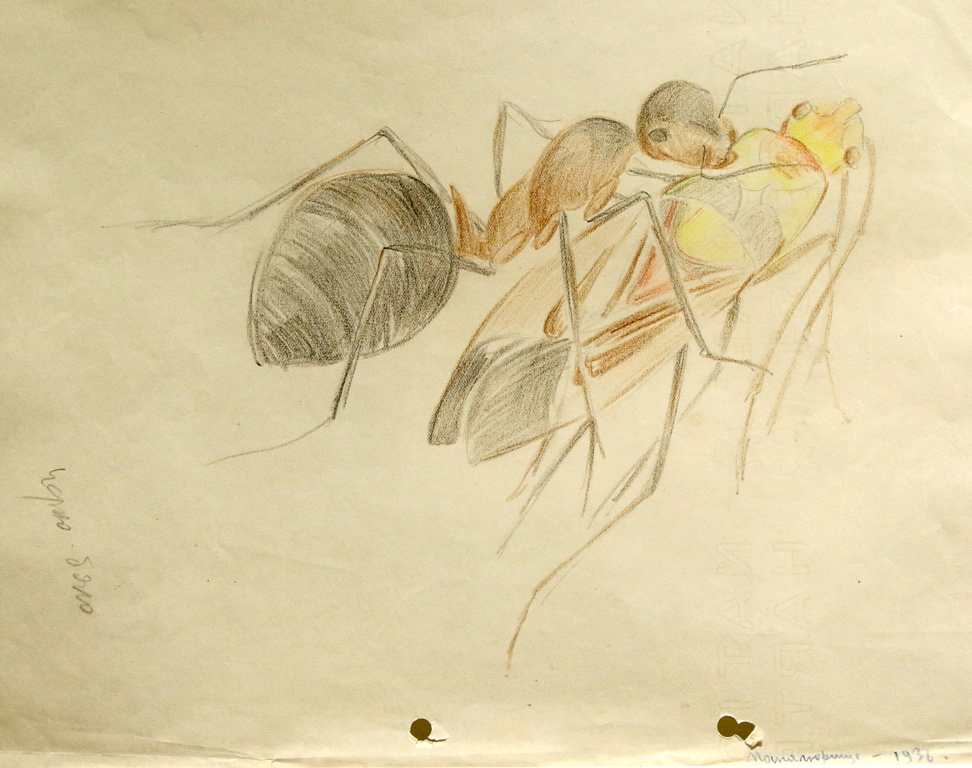 <p>Неговият интерес в тази посока дори надминава повърхностното наблюдение и с аналитичен подход, скулпторът посяга към ентомологичните справочници, към фотографията, за да заснеме и увеличава обектите, търси информация в областта на зоологията.</p>