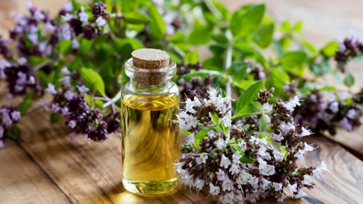  <p>Тази <strong>билка </strong>е същинско <strong>съкровище</strong>! За какво <strong>помага</strong></p> 