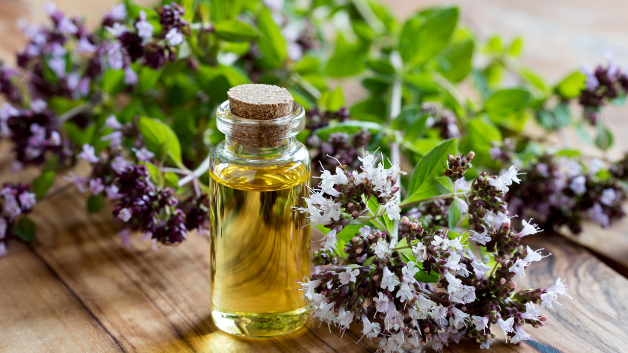 <p>Съвет за блясък: Смесете щипка сух риган с кисело мляко и нанесете като маска за лице за 10 минути. Почиства порите, стяга кожата и придава мигновен блясък.</p>