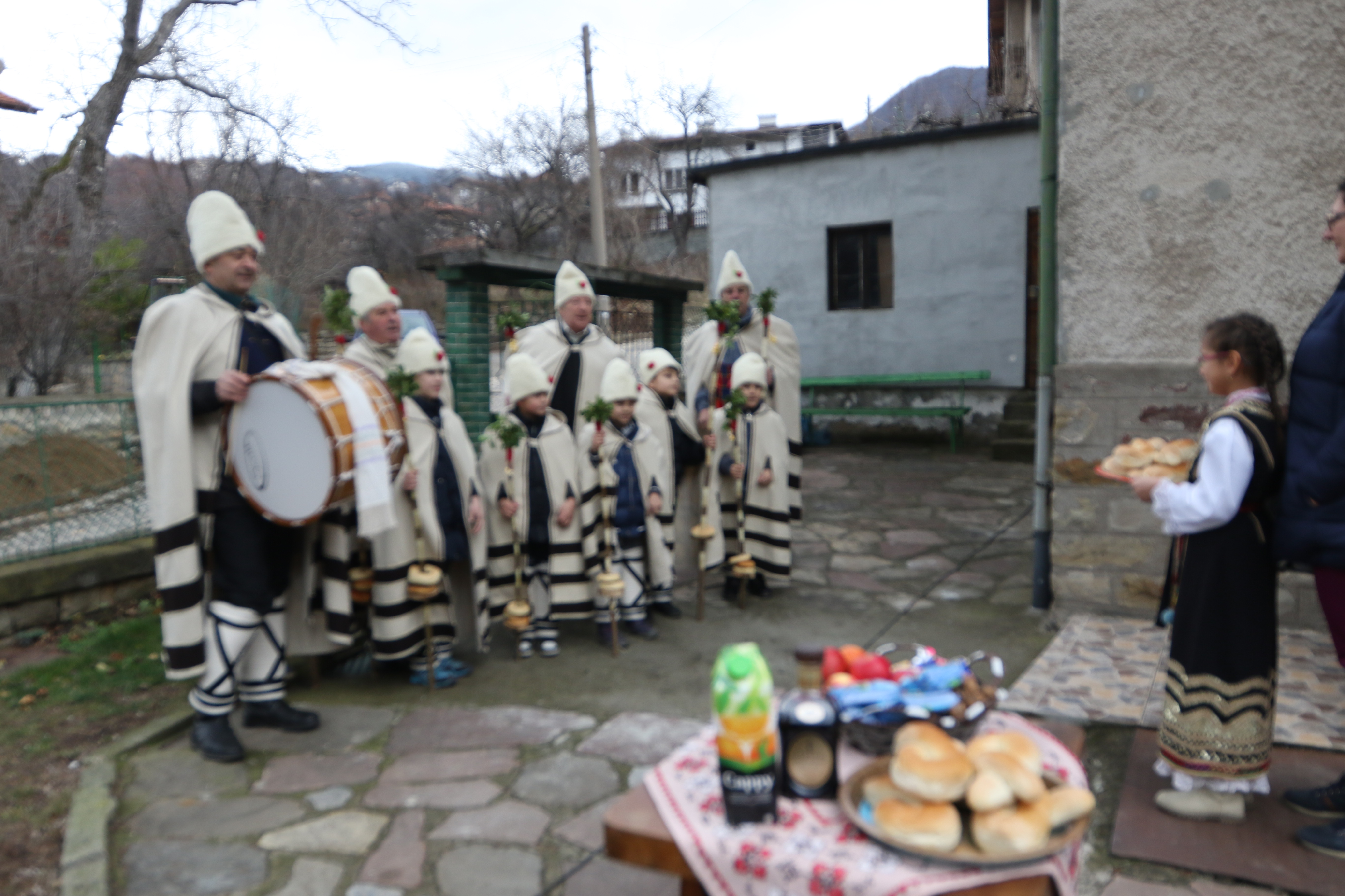 Облечените празнично коледари са с накичени с китки калпаци, а в ръцете си носят „шарени тояги”.