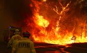  Пожарите в Австралия не стихват, изключително състояние в Канбера 
