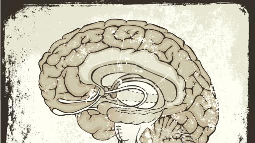  <p><strong>Тайната</strong> на един човешки мозък на <strong>2600 г.</strong></p> 
